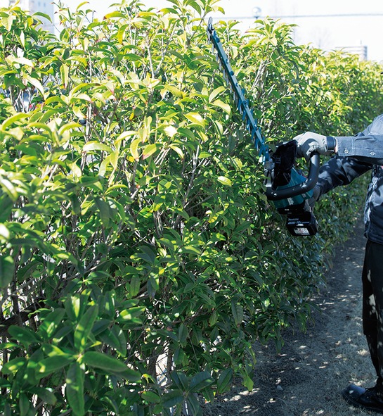 Produktbild Makita DUH602Z (Akkuheckenschere)