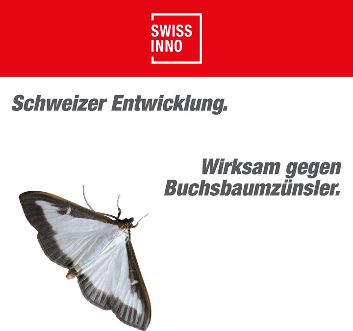 Productafbeelding Swissinno Buchsbaumzünsler-Falle inkl. 1x Pheromon