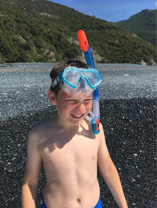 Produktbild Schildkröt Barbados