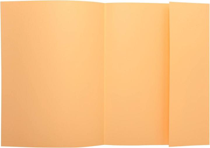 Immagine prodotto Exacompta Scrapbook - Copertine di file (A4, 50x)