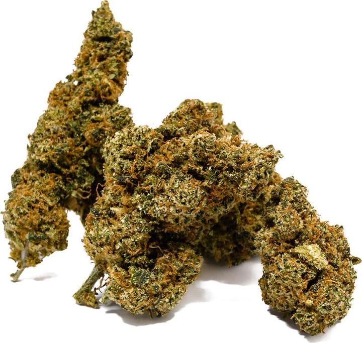 Actual product image First Class Orange One (12 g, Indoor)