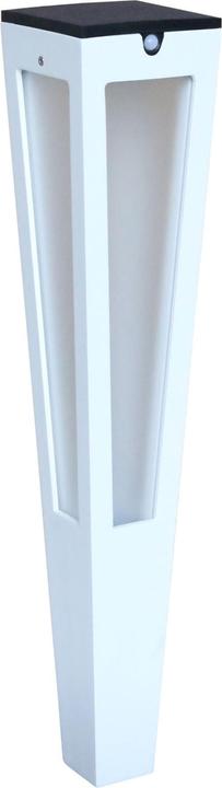 Image du produit Les Jardins Tinka Torche solaire petit modèle 500 lumens (500 lm)