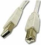 Produktbild C2G USB-Kabel USB (M) (2 m, USB 2.0)