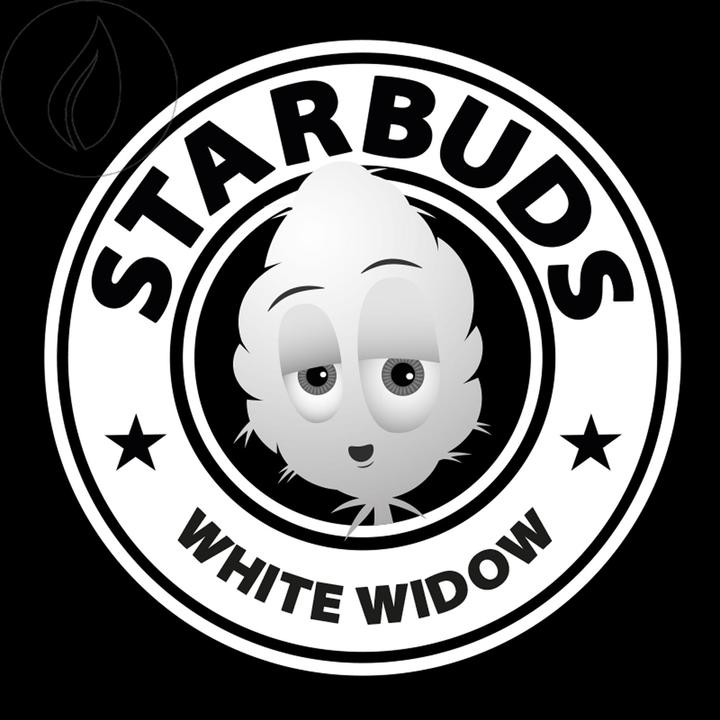 Actual product image Starbuds White Widow (15 g, Indoor)