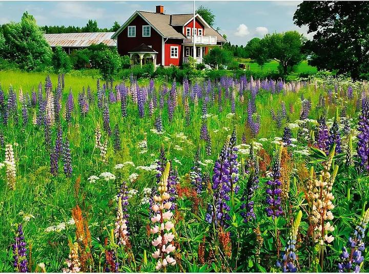 Produktbild Ravensburger Puzzle 12000844, Scandinavian Places - Bauernhof in Schweden - 500 Teile Puzzle für (500 Teile)