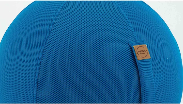 Immagine prodotto Magma Sitting Ball Mesh Petrol (65 cm)