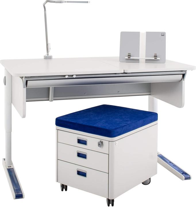 Moll Champion desk