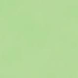 Immagine prodotto Talens Vernice opaca Ecoline (Verde pastello, 30 ml)