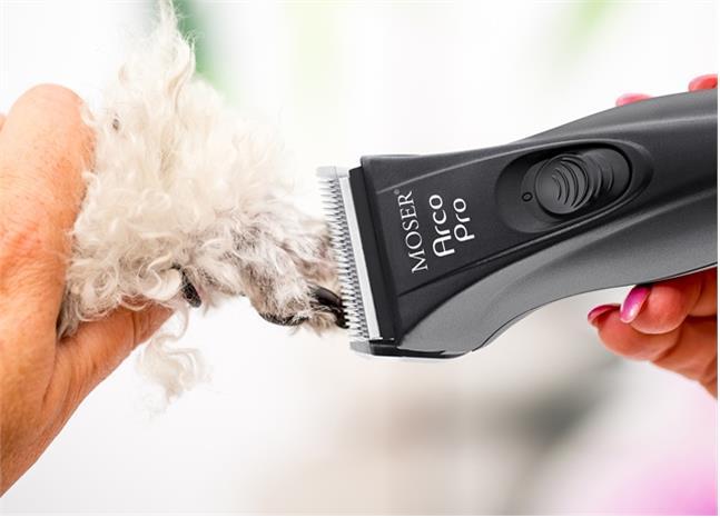 Productafbeelding Moser Arco Pro (Kat, Hond)