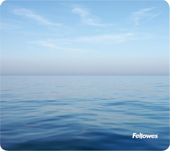 Actual product image Fellowes Ocean (S)