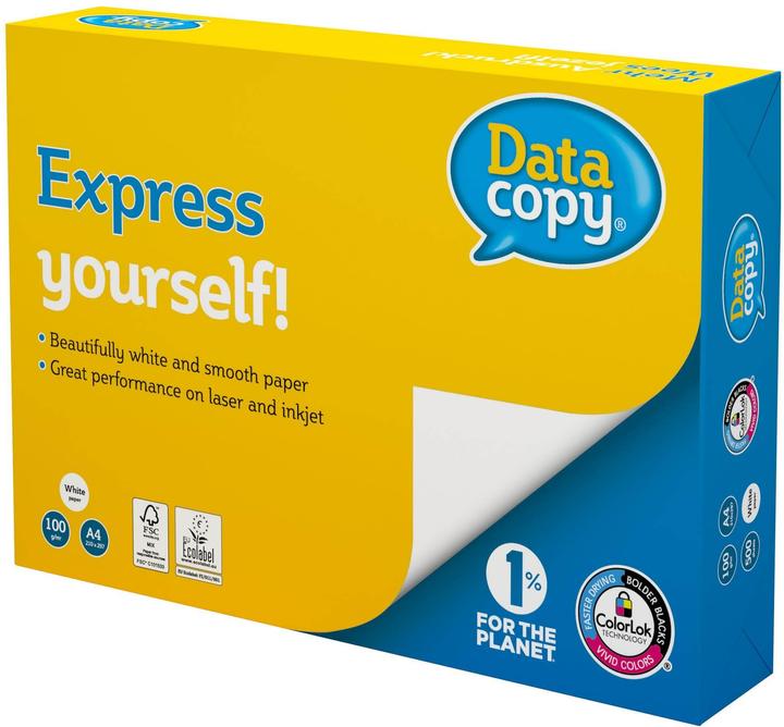 Image du produit Data Copy Papier multifonction Datacopy, 500 feuilles (100 g/m², 500 x, A4)