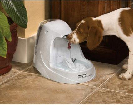 Actual product image PetSafe Platinum (500 cl)