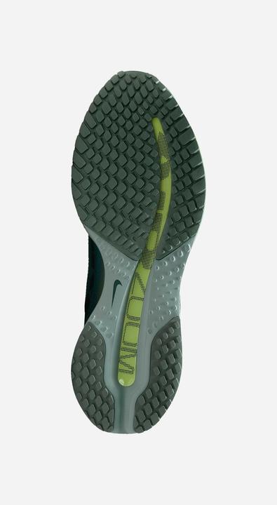 Produktbild Nike Pegasus Premium (45)
