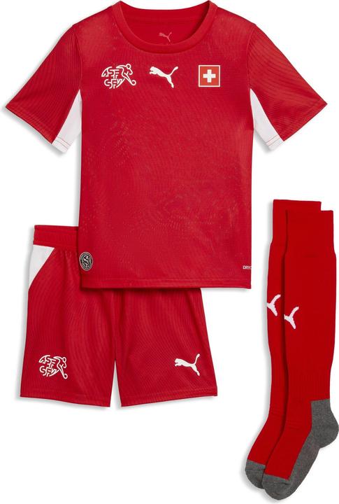 Puma SFV Home Minikit (110)