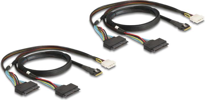 Image du produit Delock Adaptateur de bus hôte PCI Express x16 - 4x SFF-8639