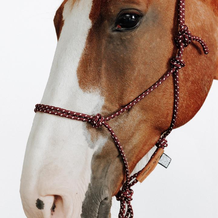 Immagine prodotto Caperlan Knotenhalfter Natural Horsemanship Pferd/Pony bordeaux