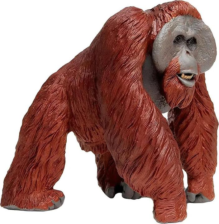Image du produit Safari Wlw Borneo Orang-outan