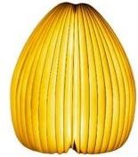Actual product image Gingko Smart Vase Light