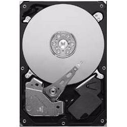 Seagate Pipeline HD ST3320311CS - Festplatte - 320 GB - intern - 3.5" (8.9 cm) (0.32 TB, 3.5"), Festplatte