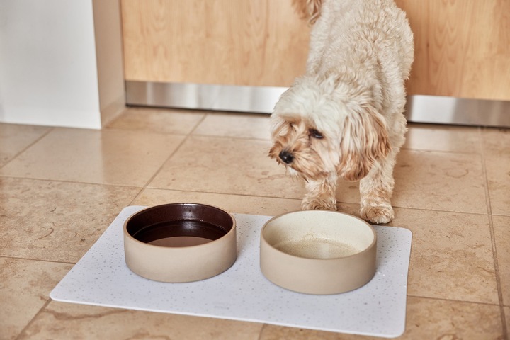 Produktbild Oyoy ZOO - Koko Dog Bowl Mat - Light Blue (Z60005)