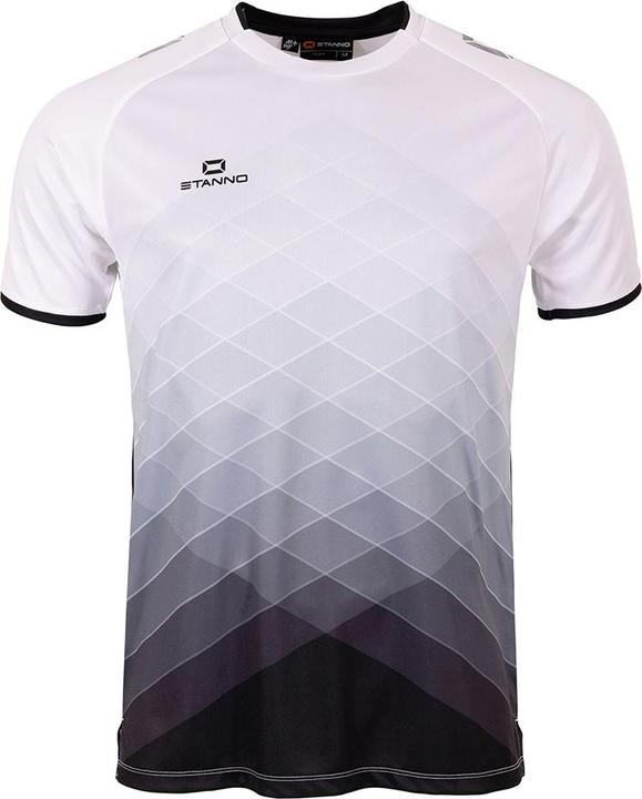 Image du produit Stanno Maillot Altius (176)