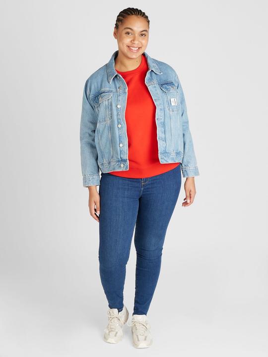 Produktbild Tommy Hilfiger Kurven-Kapuzensweatshirt (48)