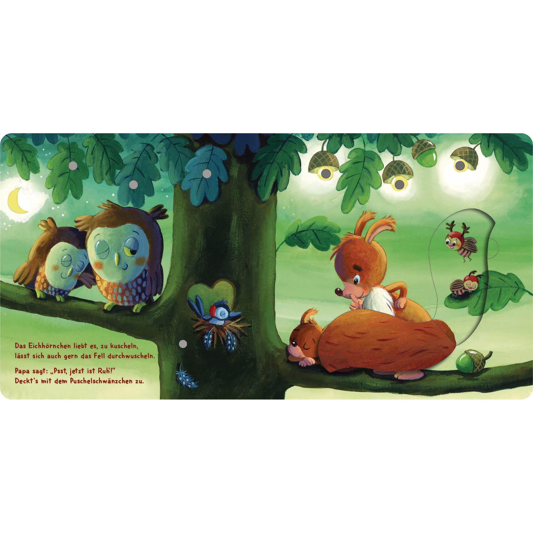 Thumbnail - Mein Lichter-Klappen-Buch - Ins Bett gehüpft, unter die Decke geschlüpft, Kinderbücher von Katja Richert