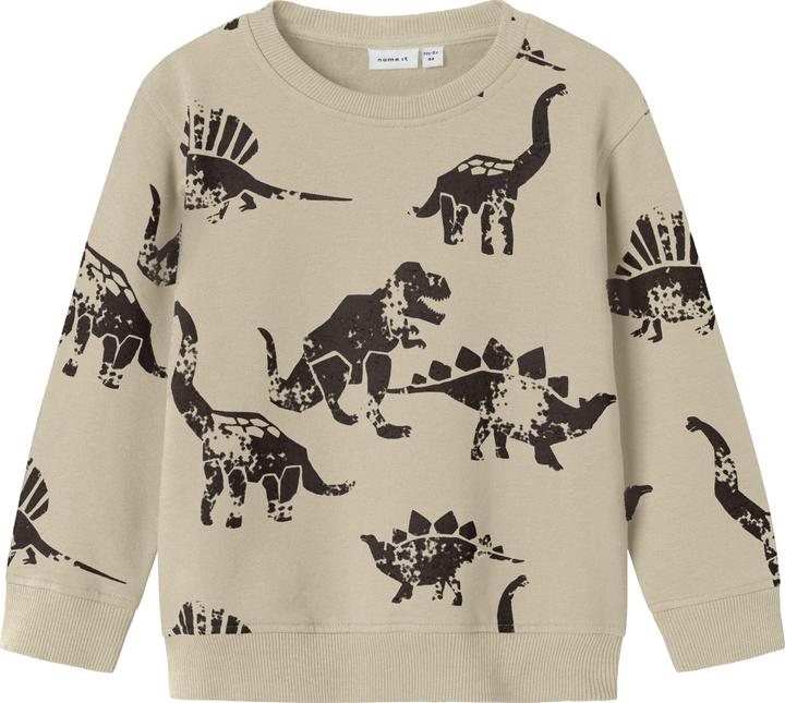 Iceland Fossil