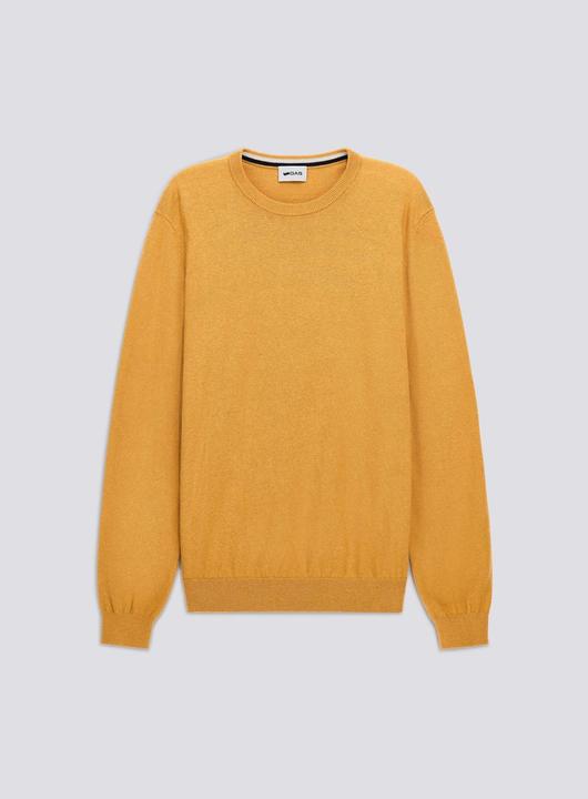 spicy mustard