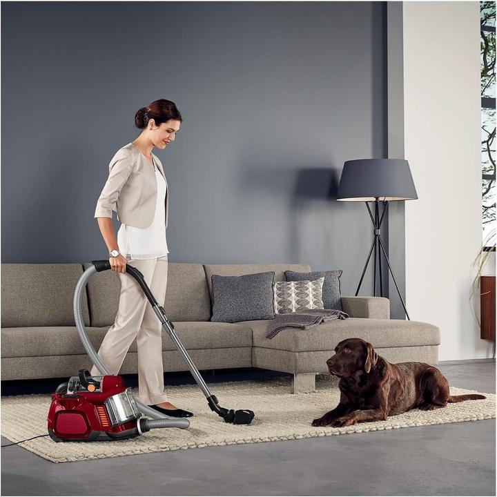 Image du produit AEG LX7-2-CR-A Cylindre à vide sec Sans sac