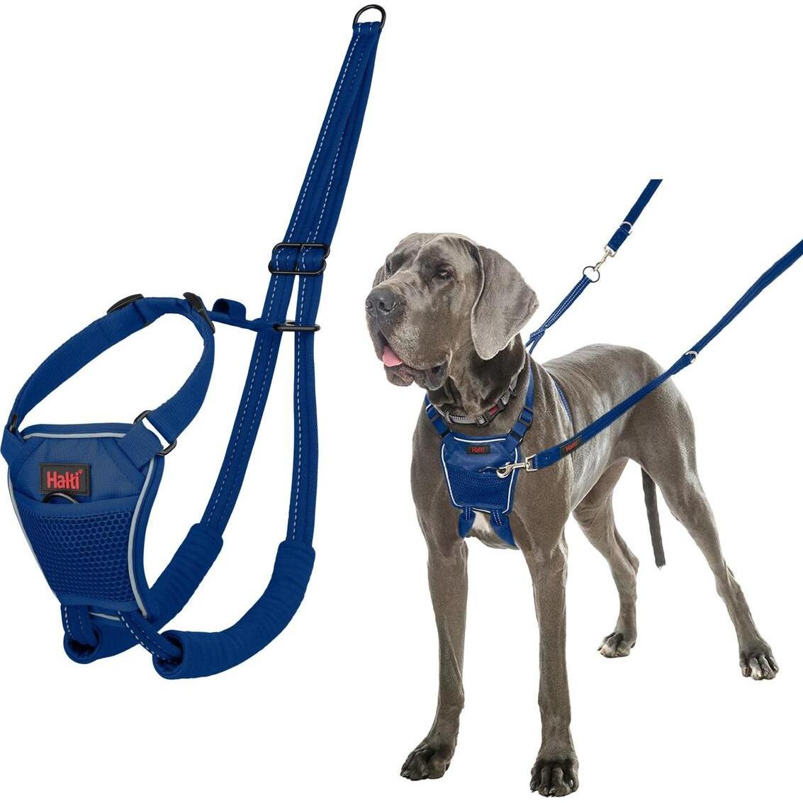 Comparer les prix de Harnais pour Chien Company of Animals COBALT Bleu L