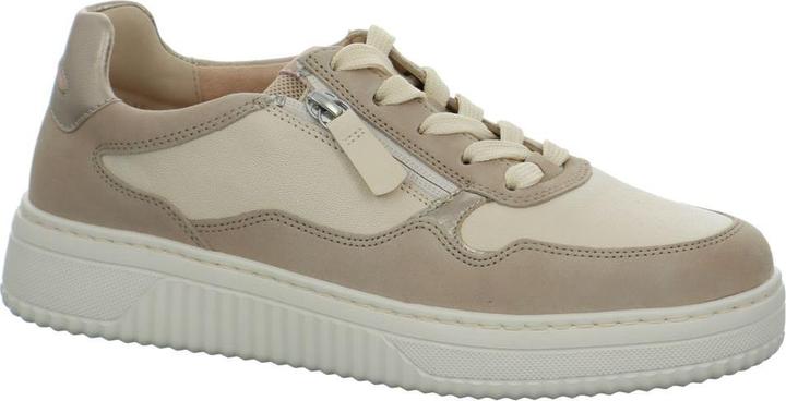 Beige, pannaoakbloom