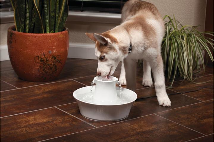 Image du produit Drinkwell PetSafe Avalon (2 l)