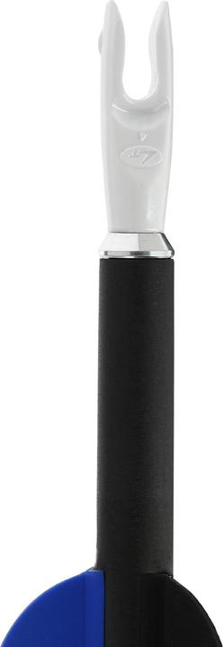 Produktbild Geologic Pfeil Zielschiessen Carbon 3er-Pack