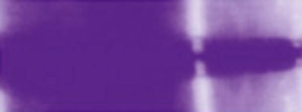 Actual product image Kreul Lady Violet