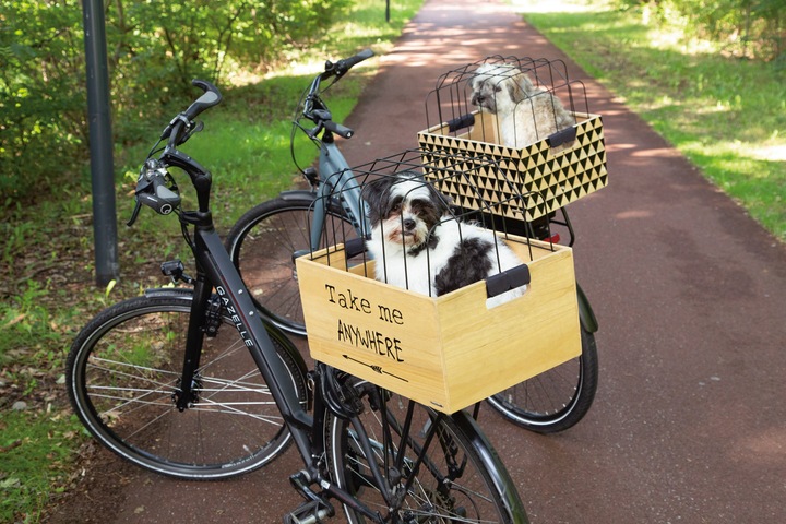 Productafbeelding Beeztees Fietsmandje (Hond, Volledige opening)