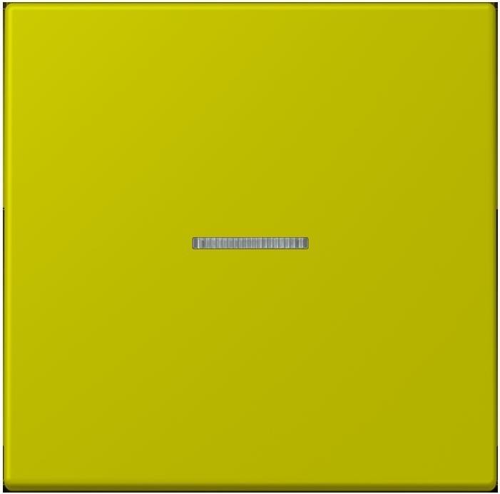 Produktbild JUNG Wippe 1fach m. Lichtleiter