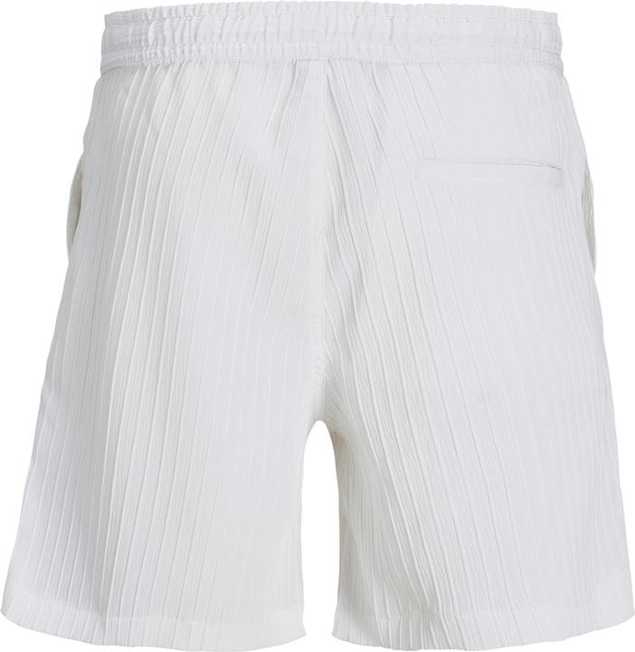 Image du produit Jack & Jones Regular Fit Relaxed Fit Shorts Relaxed Fit Shorts (L)