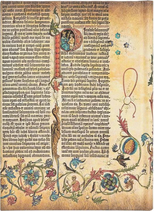 Image du produit Paperblanks Carnet de notes Parabole 10 cm x 14 cm ligné (10 x 14 cm, À rayures, Couverture rigide)