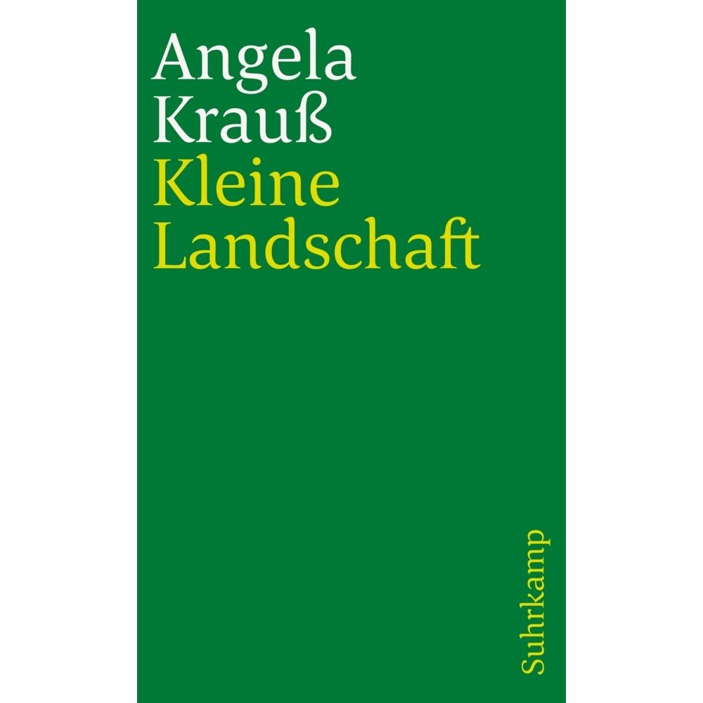 Suhrk.TB.1848 Krauss.Kleine Landschaft, Belletristik von Angela Krauß