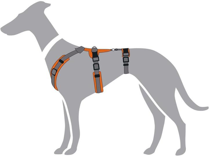 Image du produit Hunter Sicherheitsgeschirr Maldon (Chien)