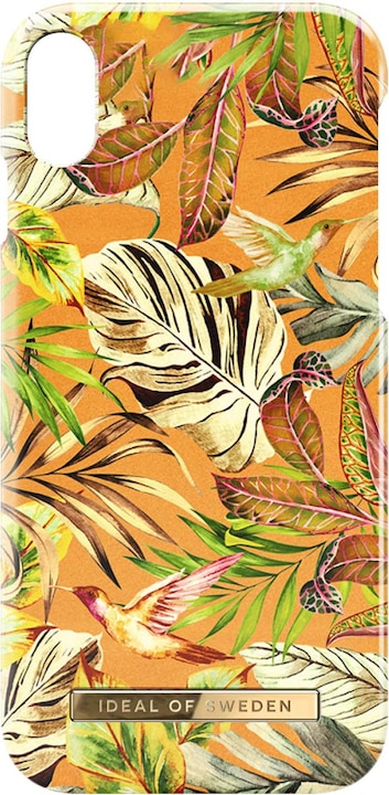 Mangue Jungle