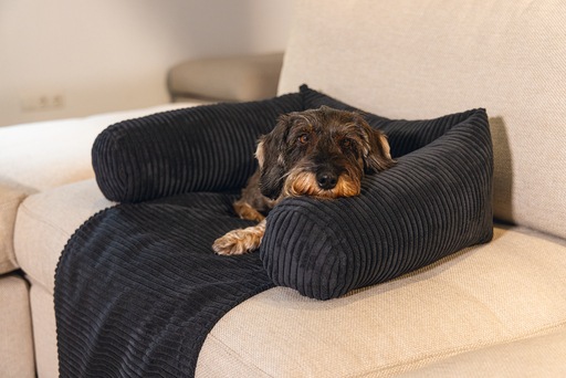 Productafbeelding Designed by Lotte Geribbeld (Hond)