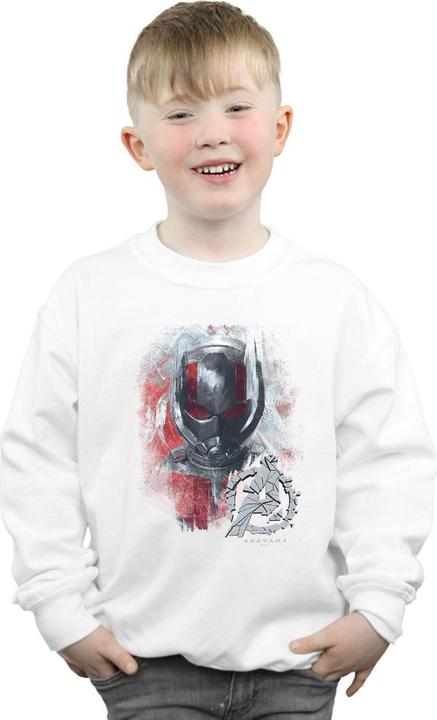 Actual product image Boys Avengers Endgame Ant-Man Brushed Sweatshirt (116)
