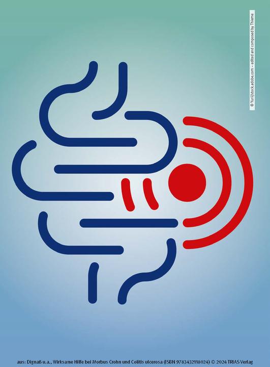 Immagine prodotto Wirksame Hilfe bei Morbus Crohn und Colitis ulcerosa (Tedesco, Jürgen-Michael Stein, Axel Dignass, Franz Hartmann, 2024)