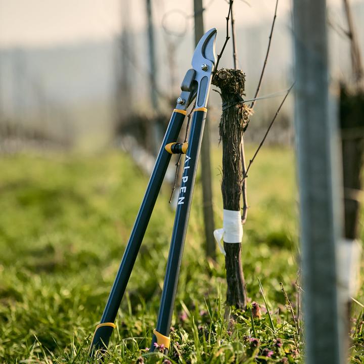 Image du produit Alpen Swiss Tools Alpen WEISSHORN 280 Sécateur d'élagage