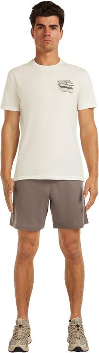 Actual product image Icebreaker T-Shirt 150 Tech Lite Evolving Layers (XL)