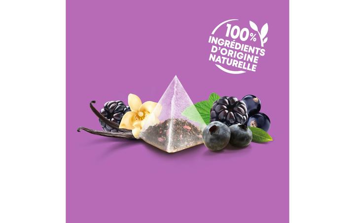 Immagine prodotto Elephant Infuso Myrtille Múre Cassis (40 g)