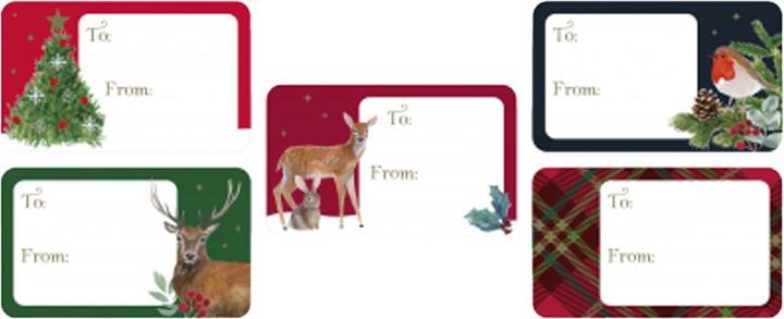 Immagine prodotto Eurowrap Renna Natale Etichette Adesive Misura Confezione 50