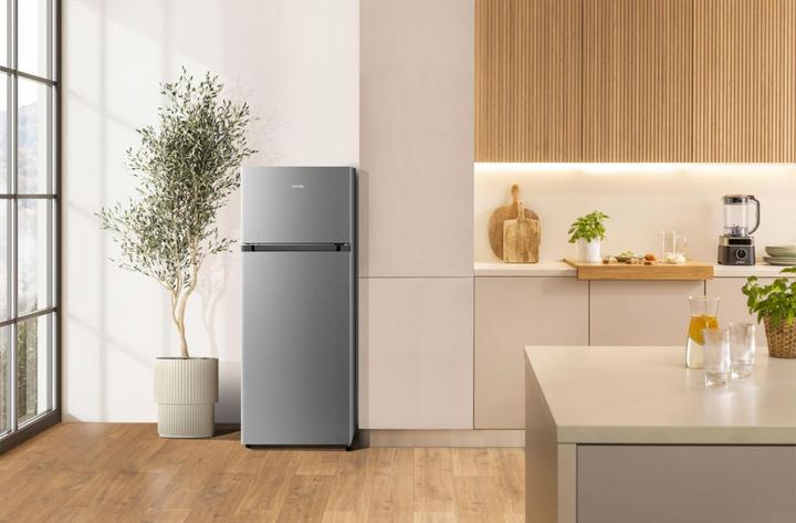 Actual product image Gorenje RF414DPS4 (206 l)